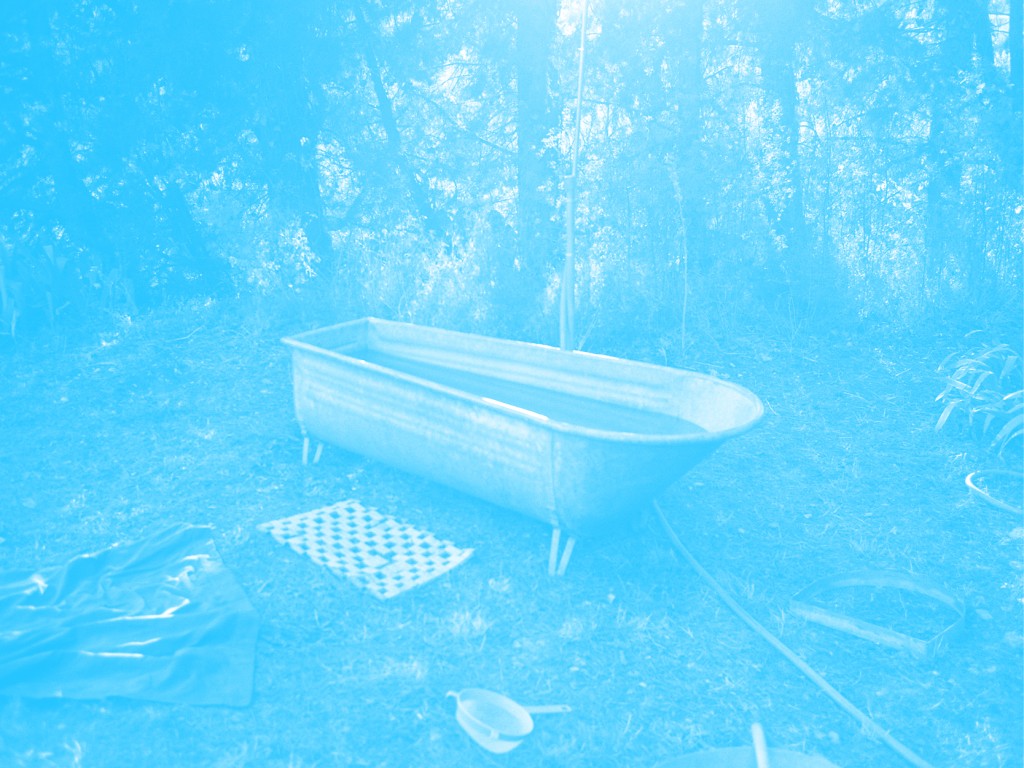 Une baignoire abandonnée dans une fôret, la photo a un filtre de couleur.